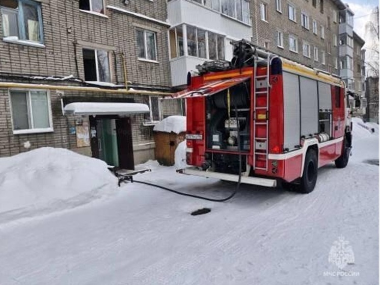     Фото: ГУ МЧС России по Свердловской области