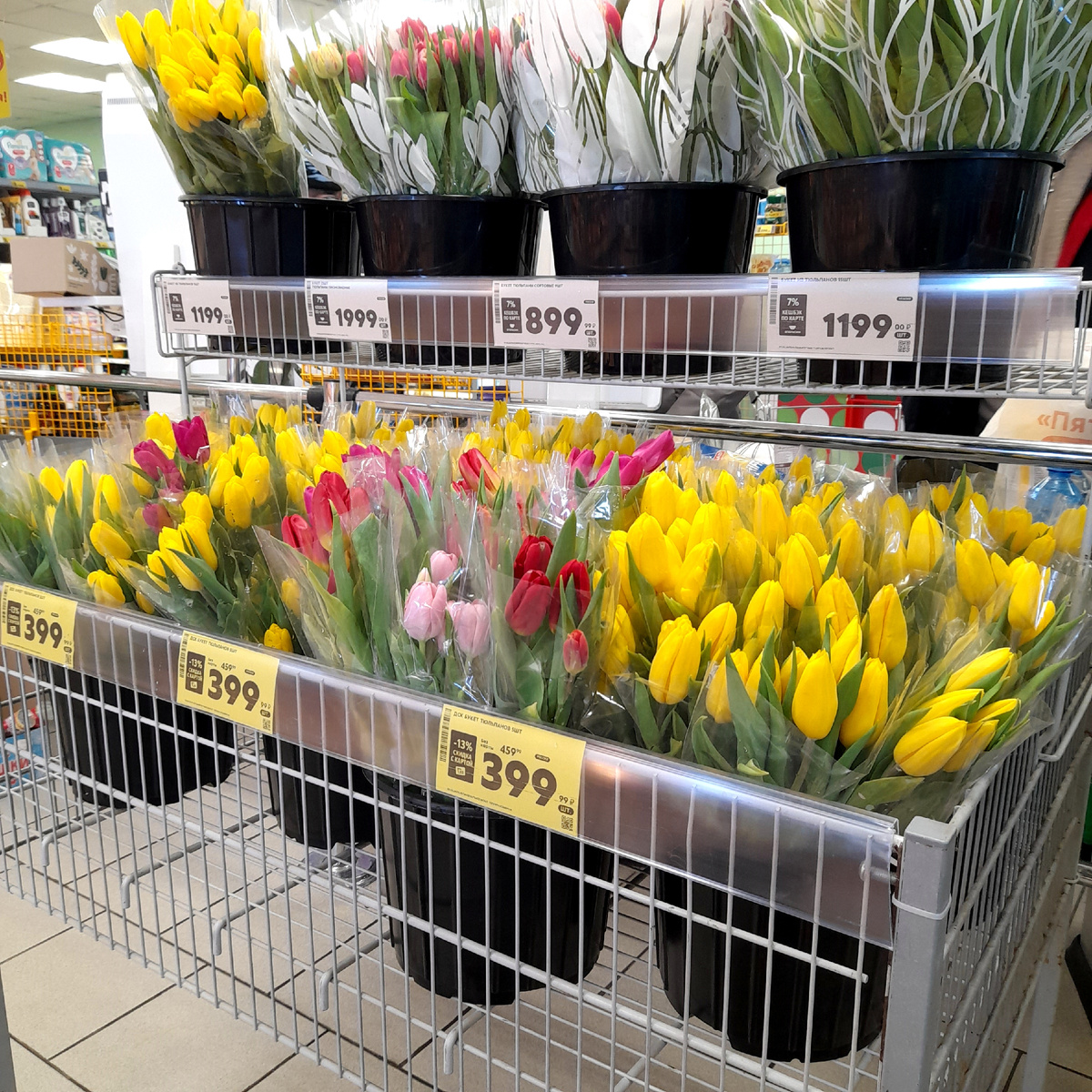 Они прекрасны! Попробуй их вырастить и зарядить позитивом... Очень это нелегко!