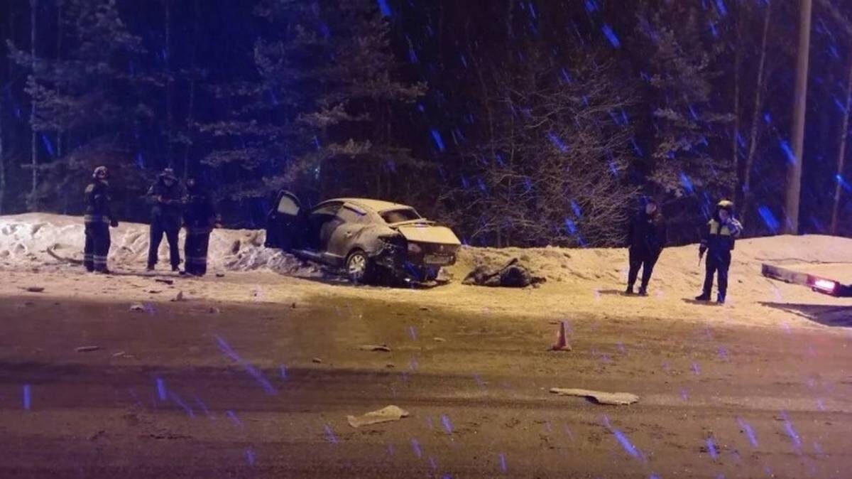    Фото: Госавтоинспекция Мордовии / Telegram