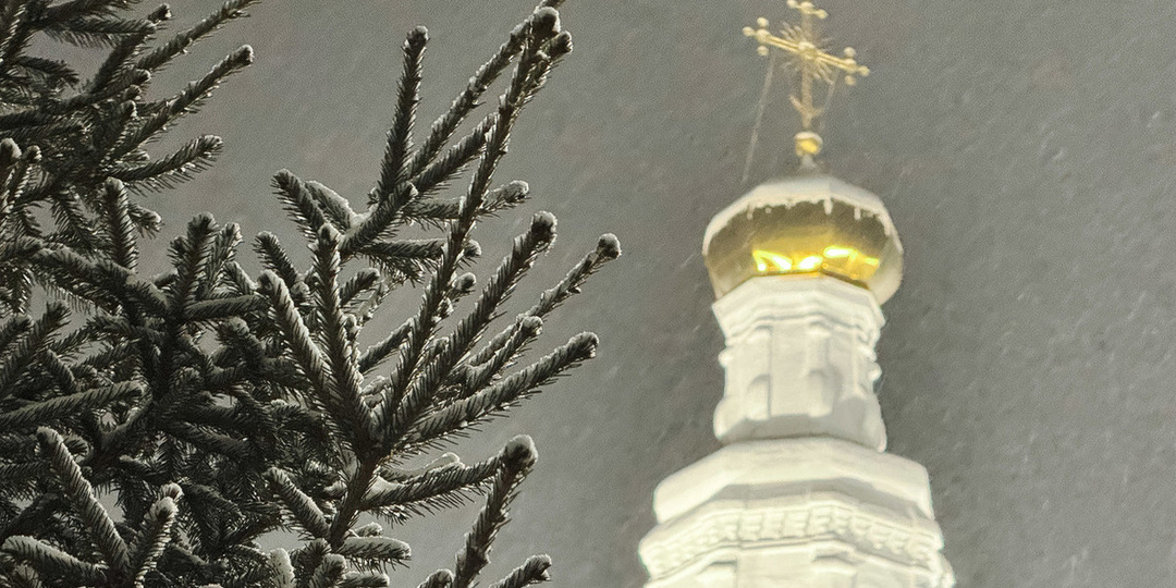 Народные приметы на 8 марта 2026 года: что нельзя делать в Поликарпов день