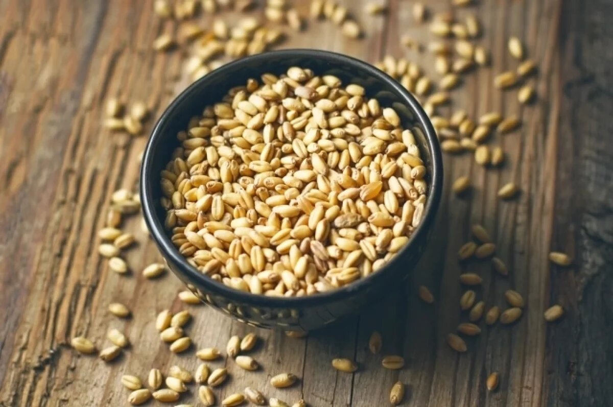    Более 250 тонн ячменного солода из Беларуси было ввезено в Томскую область