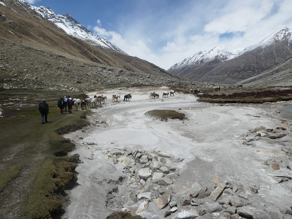 Один из труднодоступных уголком Непала. Снаряжение в базовый лагерь доставляется на мулах. 
