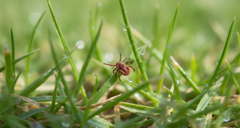    нейросеть Midjourney