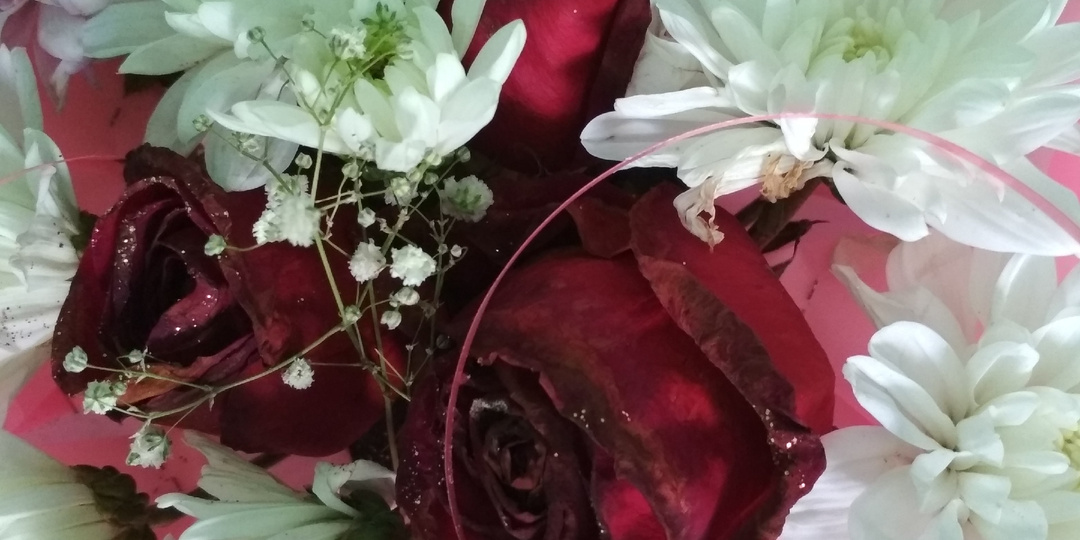 Поздравляю женщин с 8 марта!