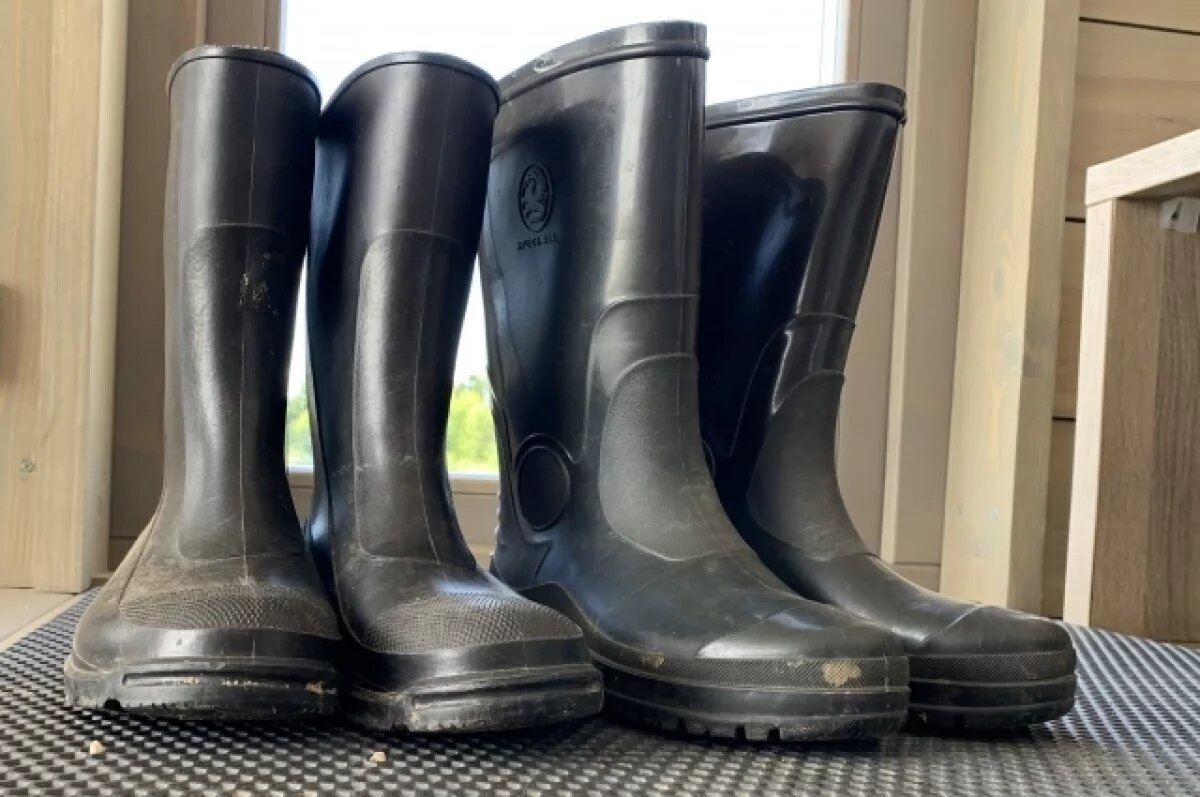    В Тюмени прожали резиновых сапог с началом весны вырос на 88%