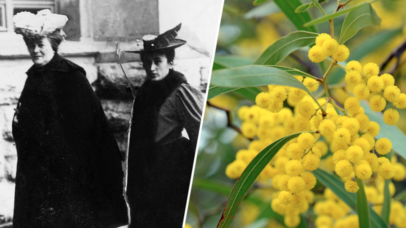   Gettyimages.ru ullstein bild via Getty Images / KarenHBlack