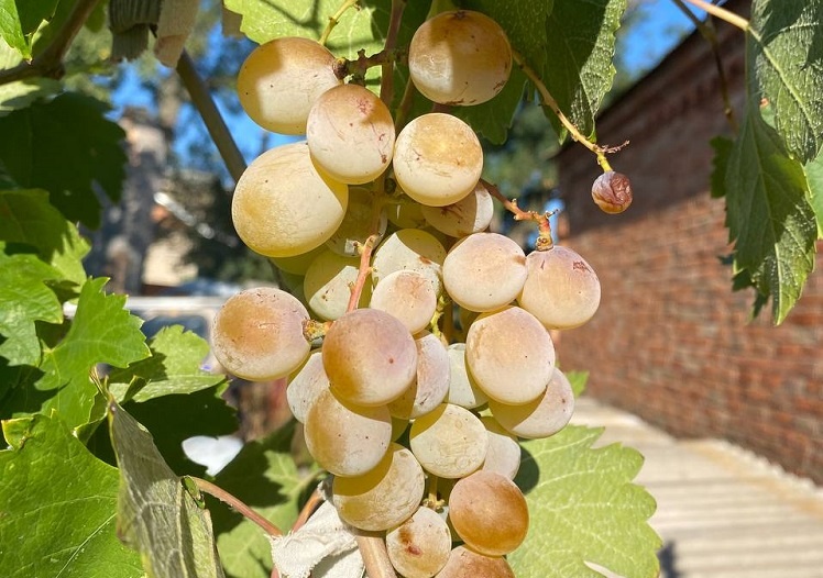    Фото из архива редакции Редактор