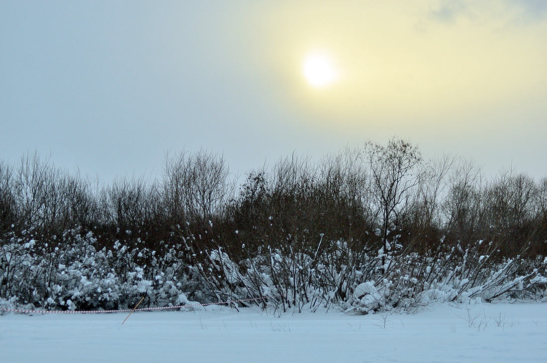    Фото: Константин Седегов, ПН