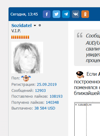 профиль одного из высокооплачиваемых аналитиков  форума investsocial