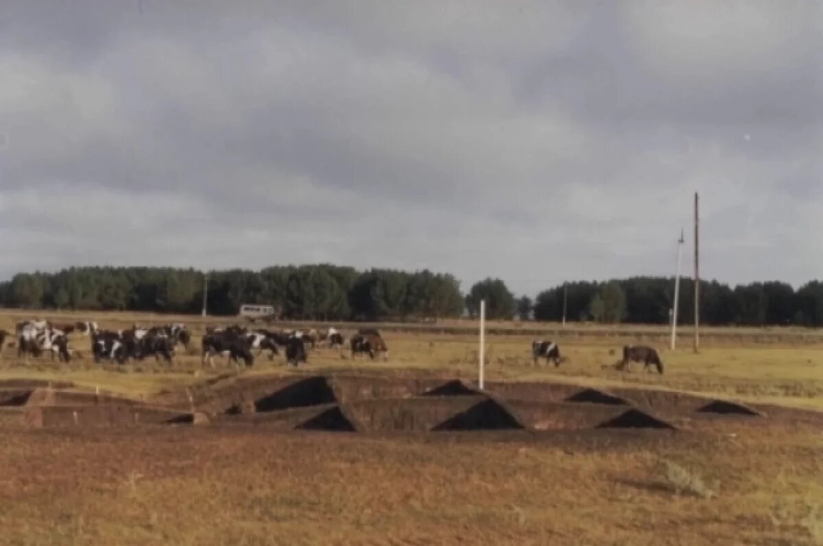    Раскрыты тайны некрополя в НСО: традиция скальпирования среди «сибиряков»