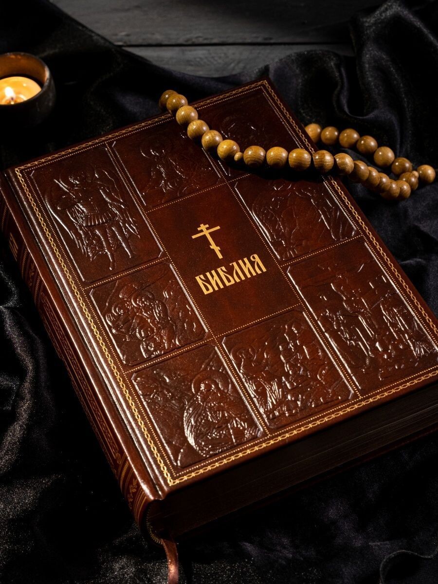 Источник изображения: am.ozon.com