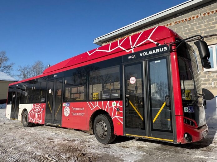    Фото: v-nurses.ru