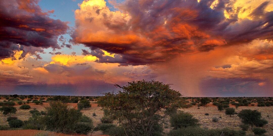 Артефакт. 2 - окончание