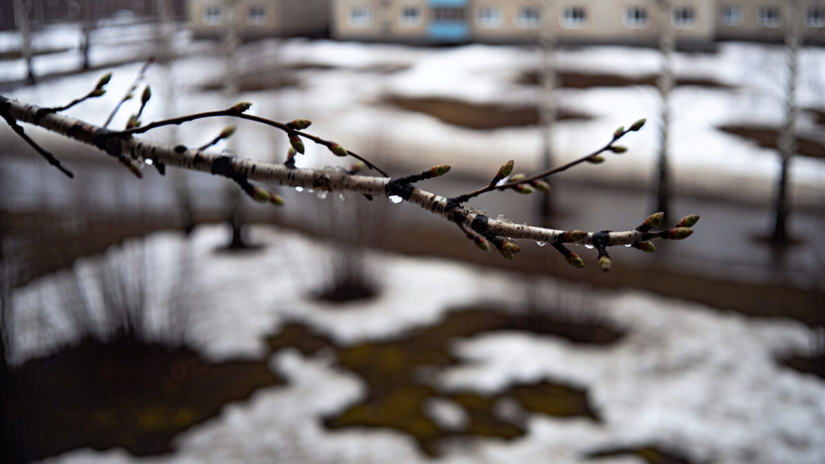    Фото - slanews.ru Никита Филлипов