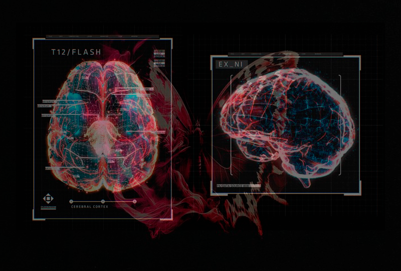 Изменение своей жизни через влияние на мозг и химию мозга