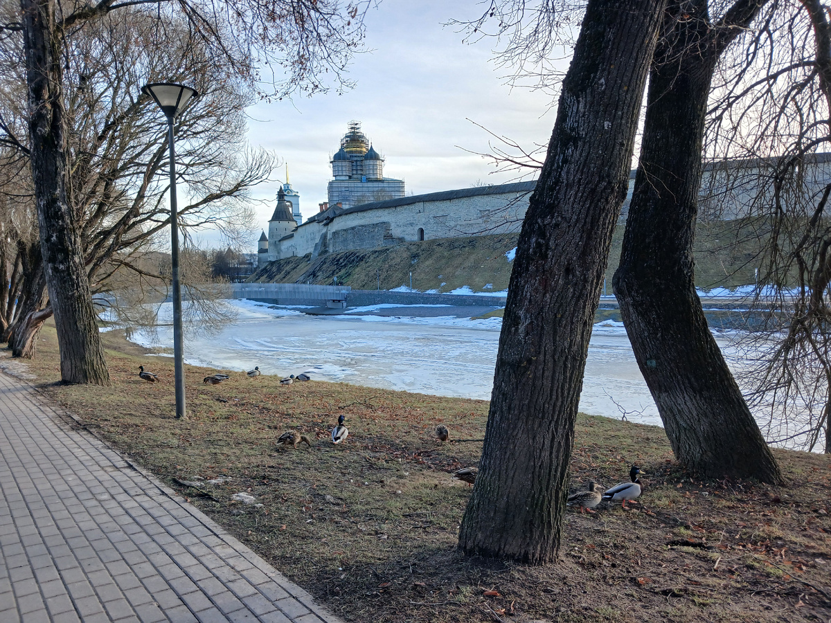 Все фото от 07.03.2026