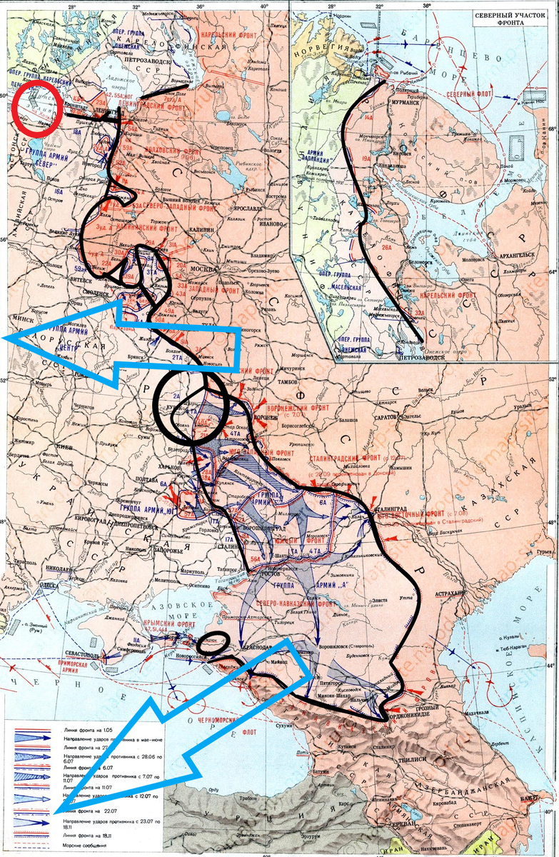 (Фото взято из открытых источников).
