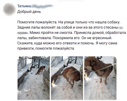 Цветокоррекция изменена, а то там слишком много красного.