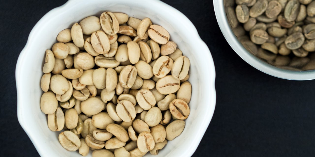 Плесень, ветер и море: как логистическая ошибка создала легенду