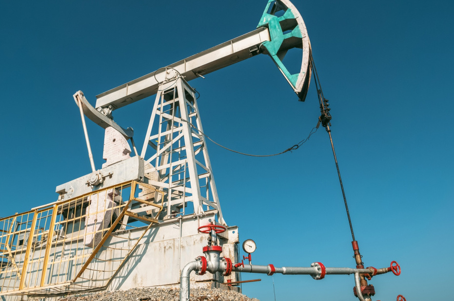    Shutterstock/FOTODOM