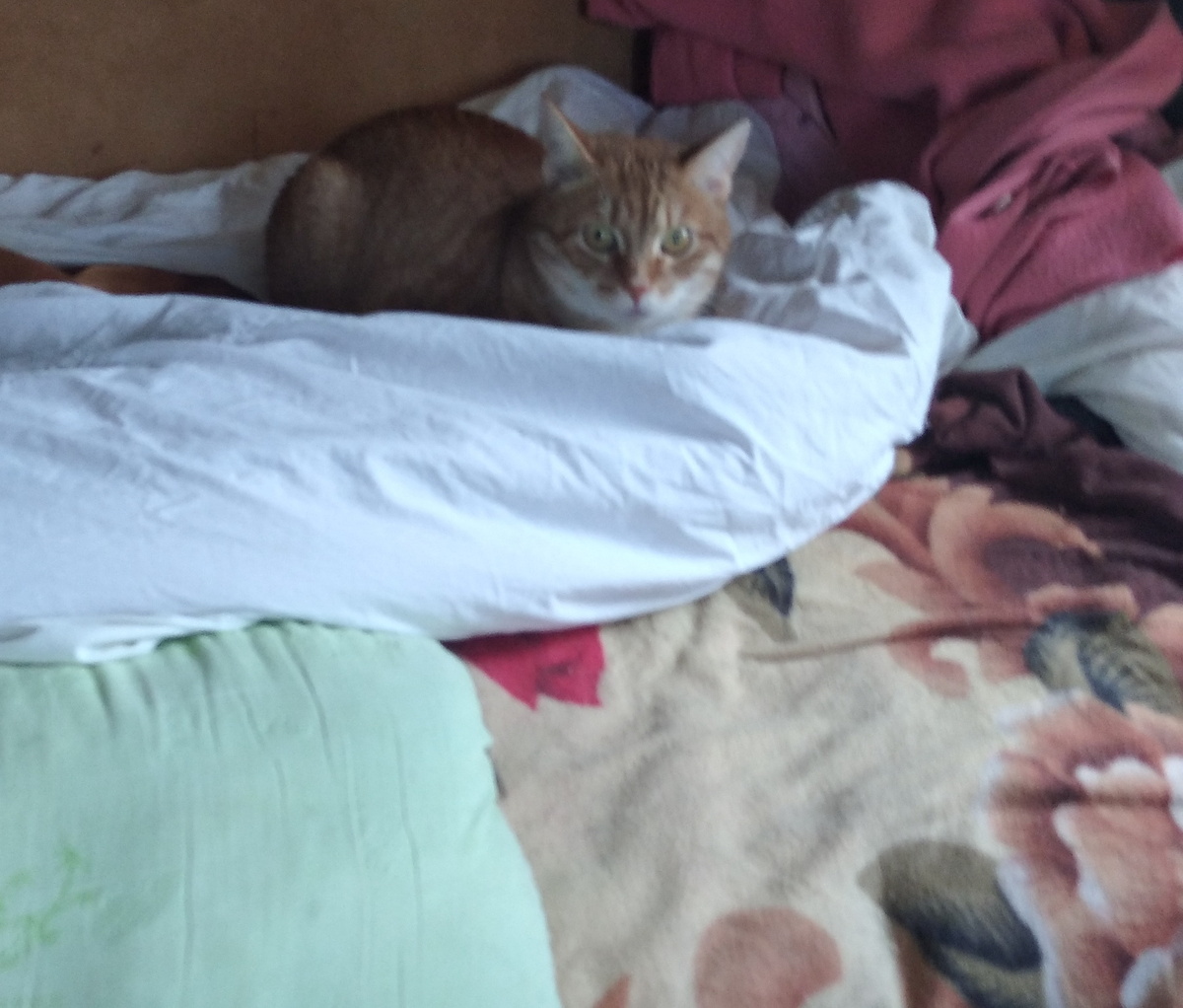 личное фото