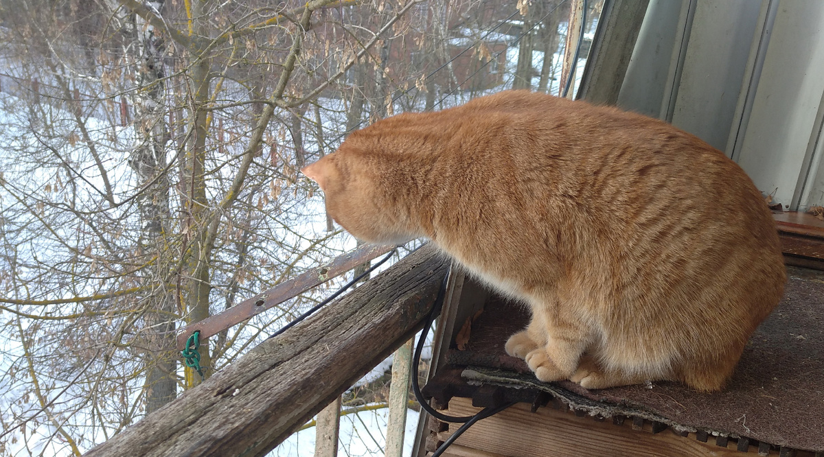 личное фото