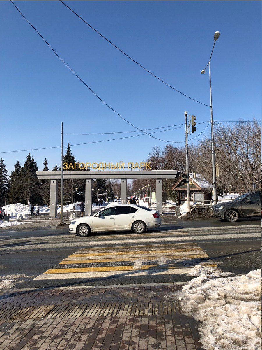 Загородный парк. Фото автора.