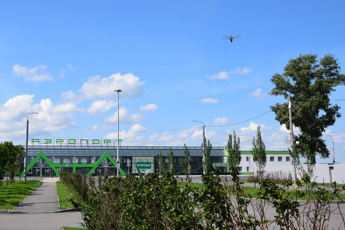 Стрекоза идет на взлет. Фото автора канала "Приключения Тома Сойера".