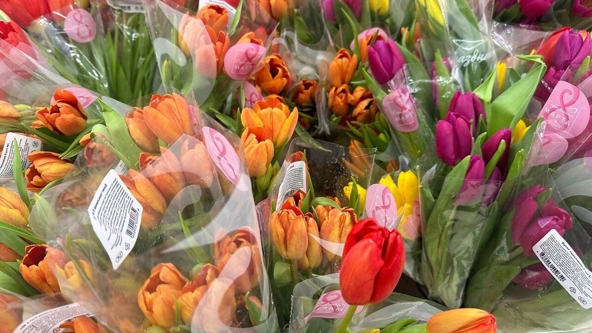    Пока искали дешевые тюльпаны, не уследили за яйцами. Что было в Ростовской области 7 марта?   rostovgazeta.ru