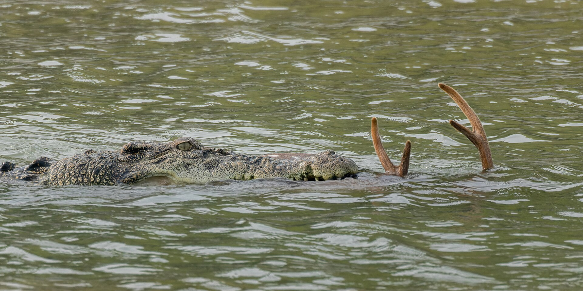 ���, � � ����� ��� � ���������� ������ ����? �, ��...