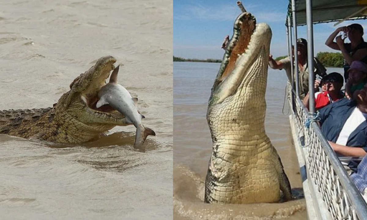 �� ���� ������ ������� � ����������� ���������� �������� �� ���������. �� ������ 110 ��� � ����� �����. ��� � ����������� � ��� ������� ����������������������. ���� ����� 2 ���� ����� �� ��������. 