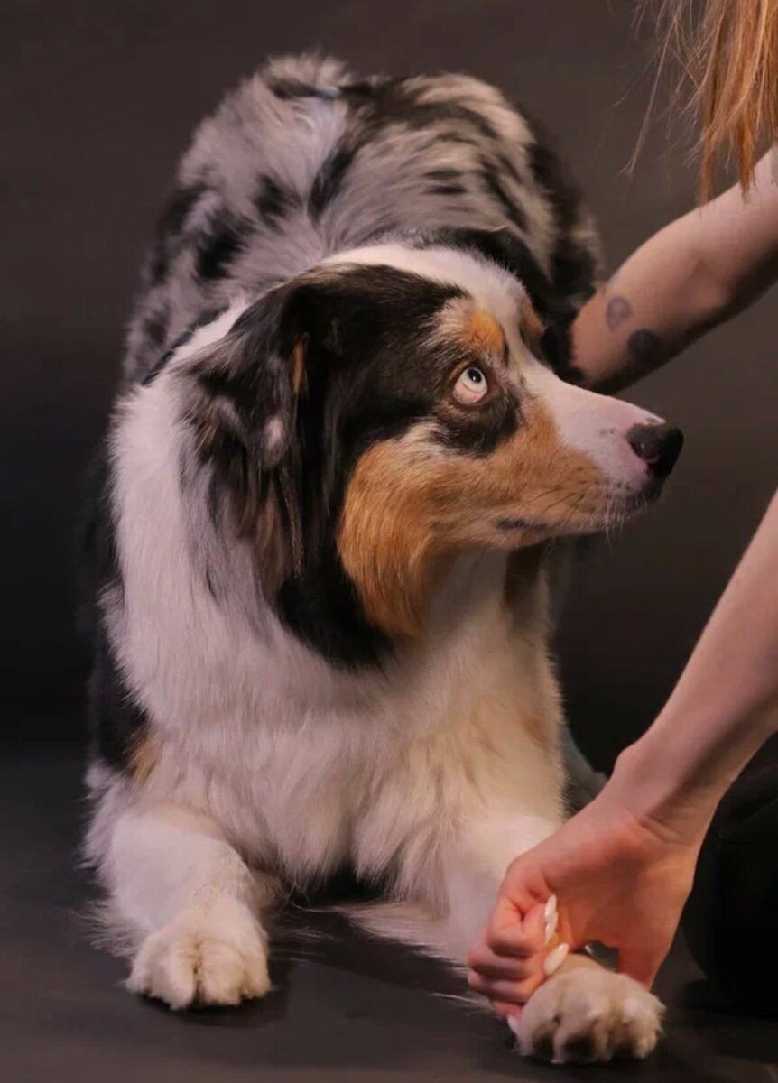 Внимательно слушоет😁