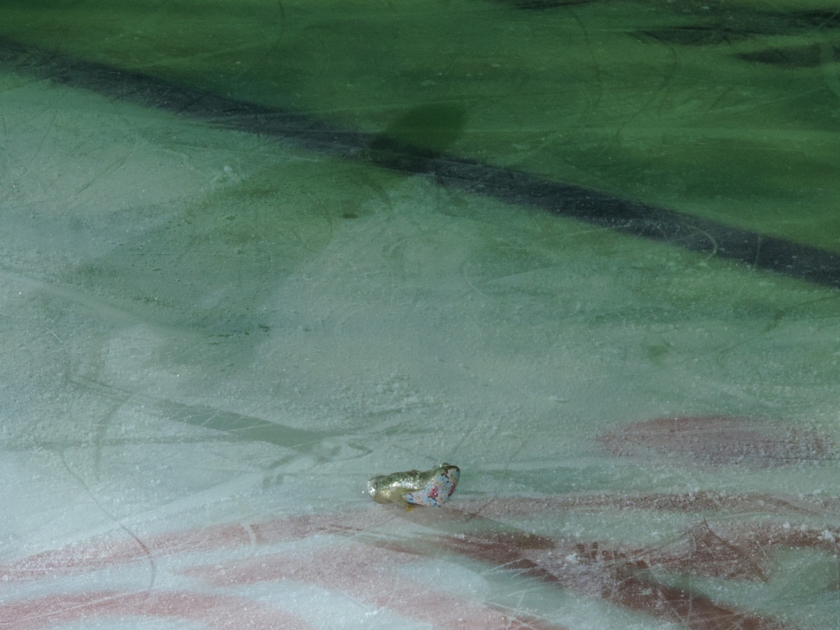 Туфелька золушки