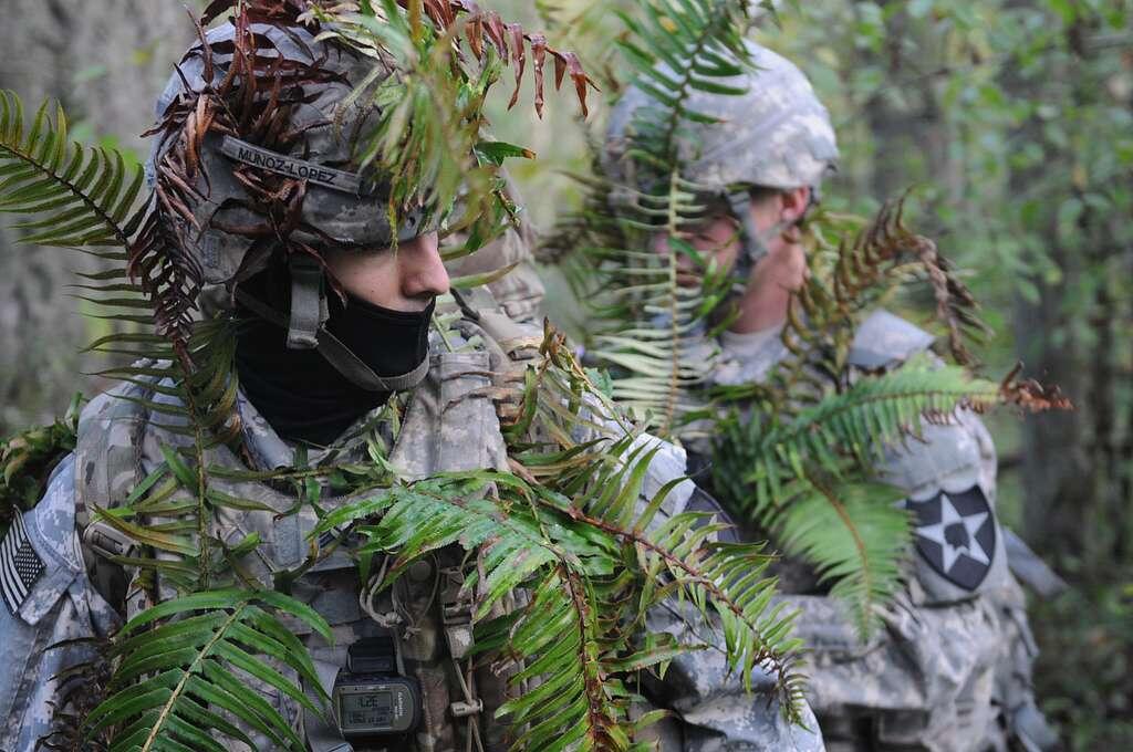     Разведчики США   
Общественное достояние