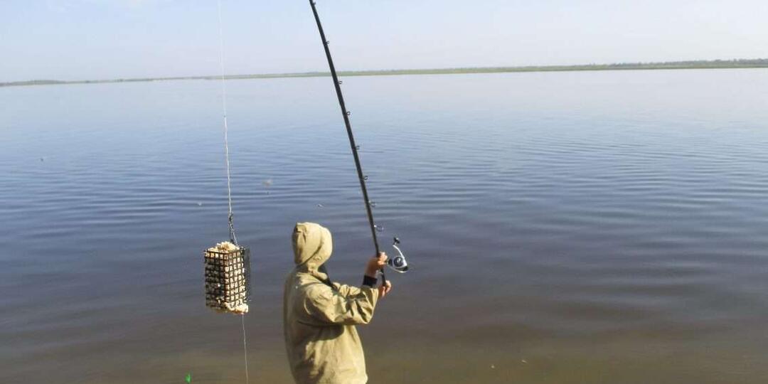 Фидерные монтажи: патерностер, петля Гарднера, инлайн — что и когда использовать