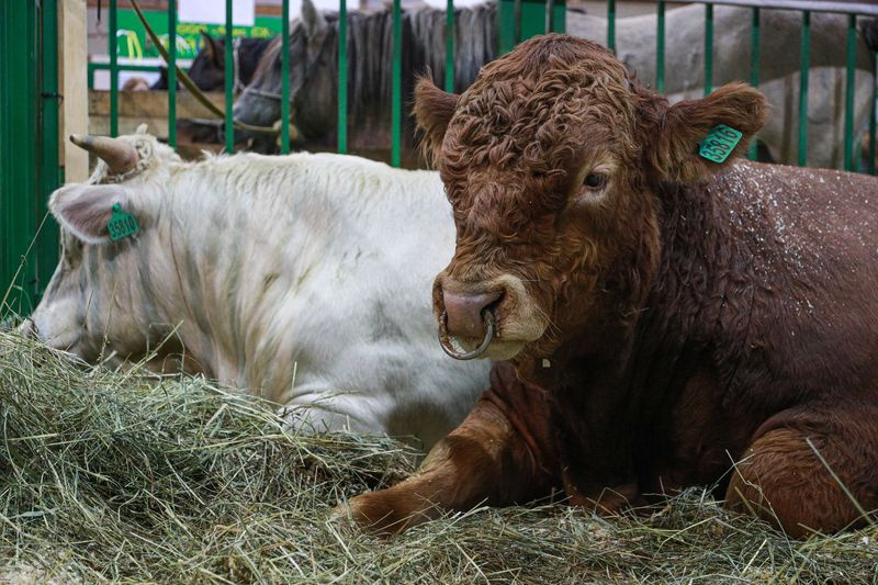    Сергей Булкин/NEWS.ru
