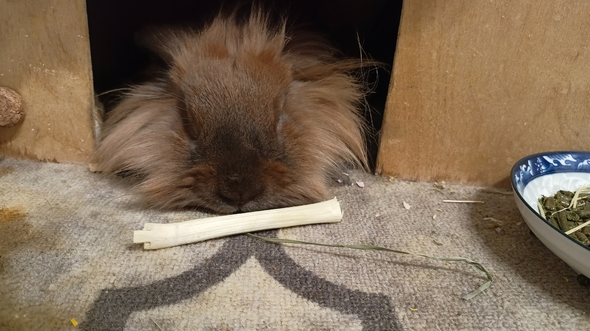 Банюшка думает над сахарным тростником