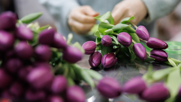 Фото: Sergey Elagin/Business Online/Global Look Press