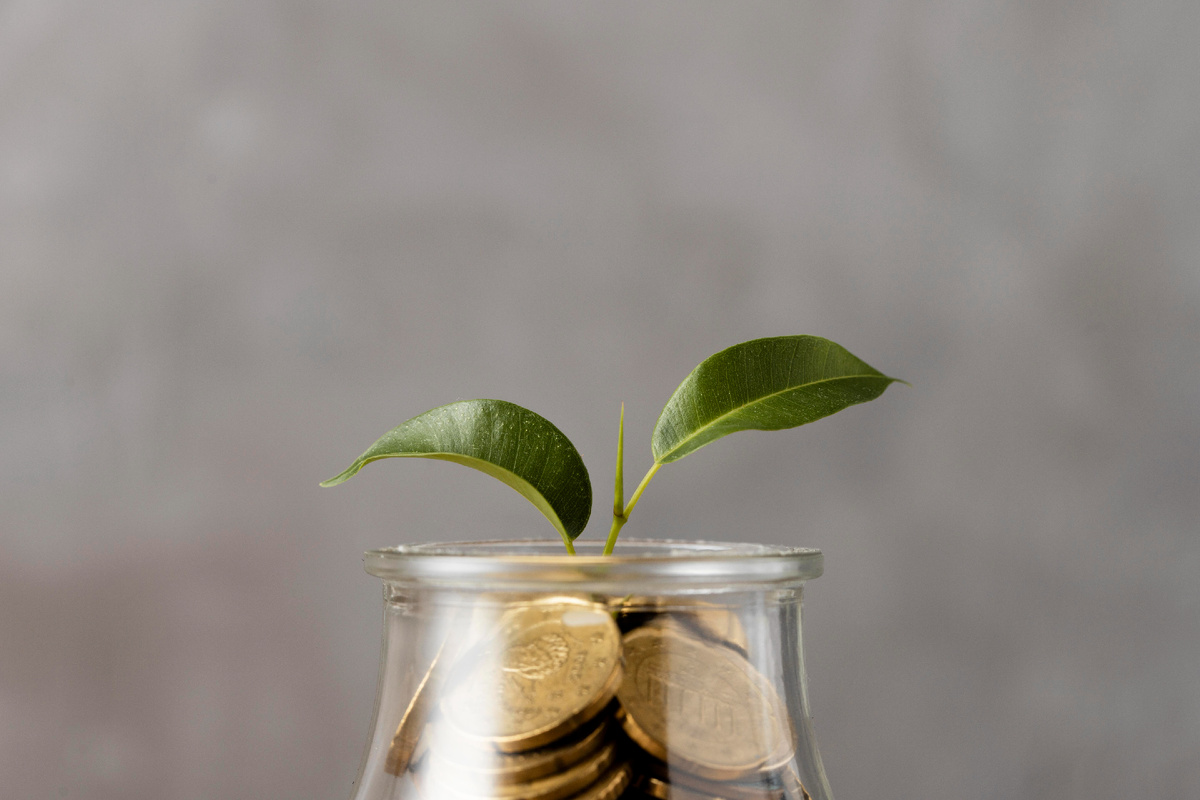 Изображение от Freepik: https://clck.ru/3SQXbr