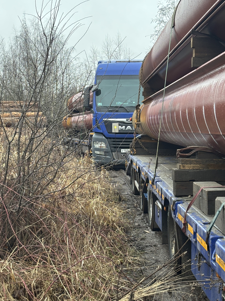 Доброго денечка!