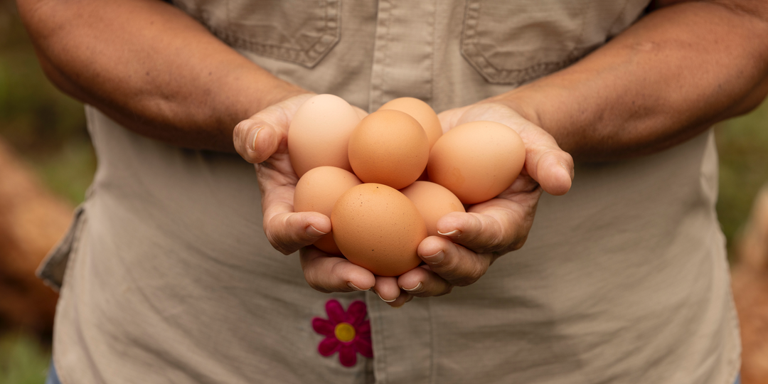 Сколько реально можно заработать на 20 курах — честный расчёт