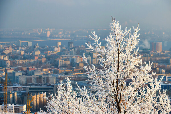 Anton Starikov/Shutterstock/FOTODOM   📷