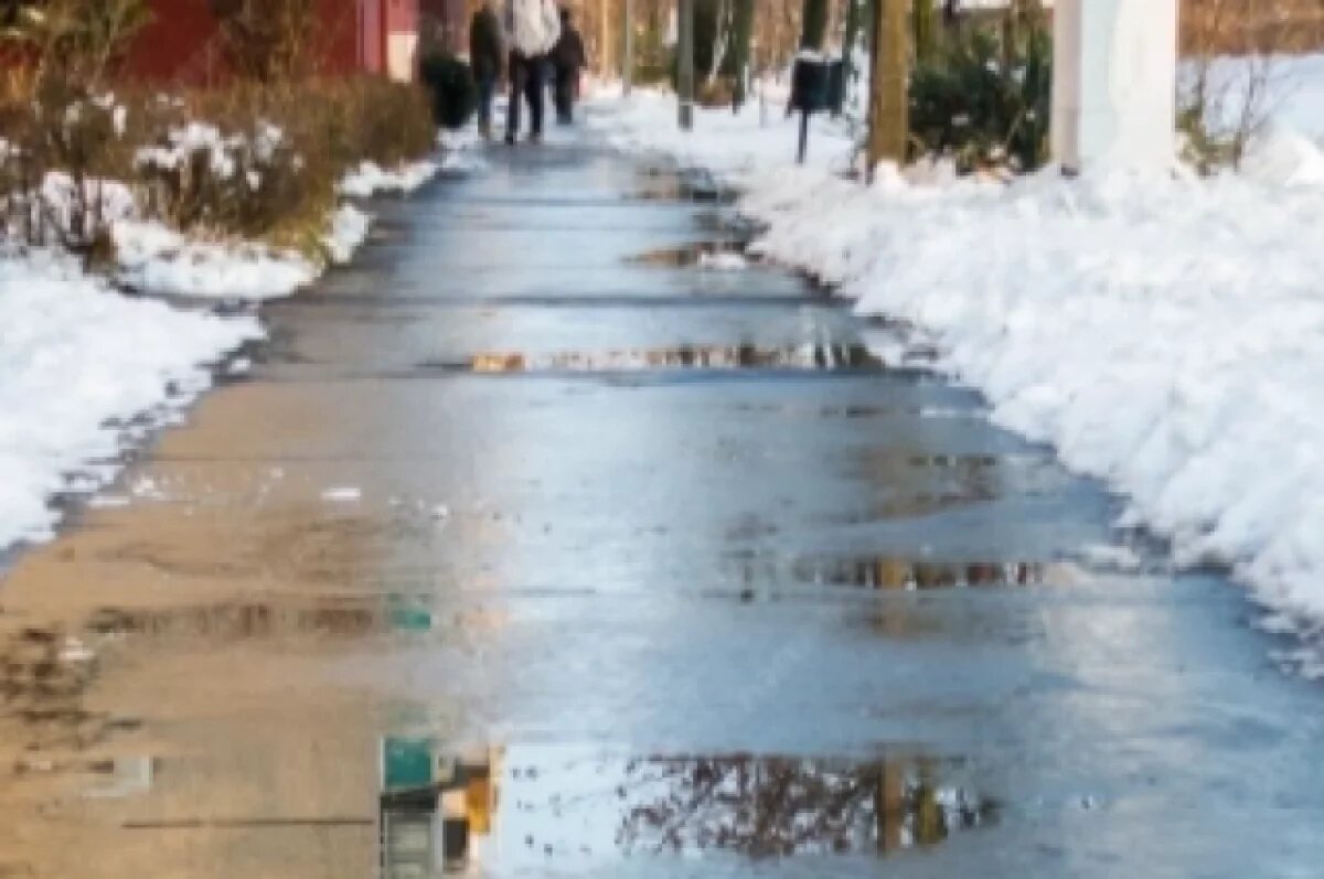    Народные традиции и приметы 8 марта в Поликарпов день