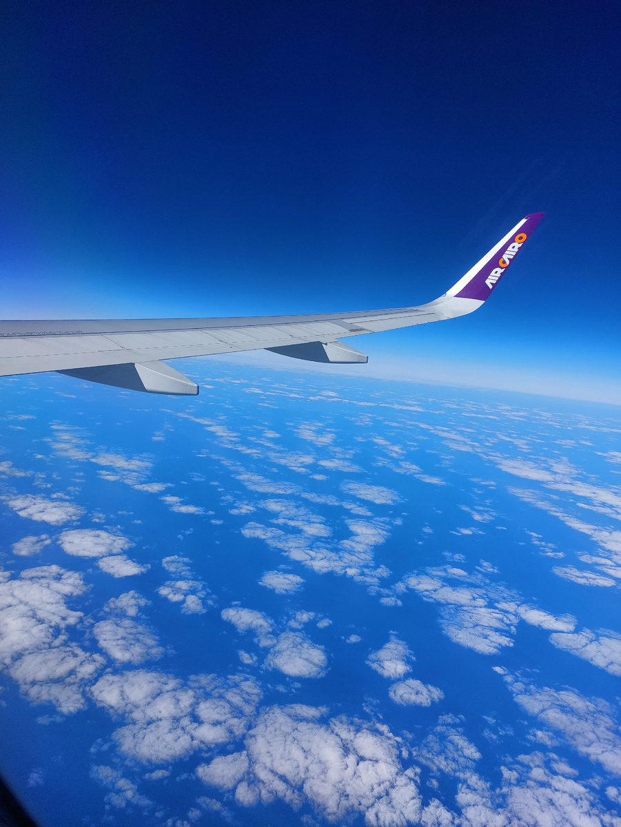 Мир такой прекрасный - зачем все враждуют?!