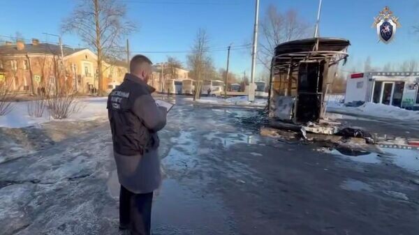    © СК России