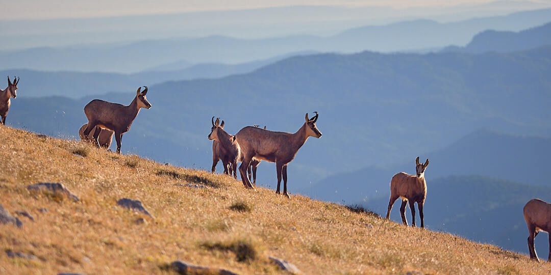 Горячий Ключ. Фотопрогулка выходного дня.