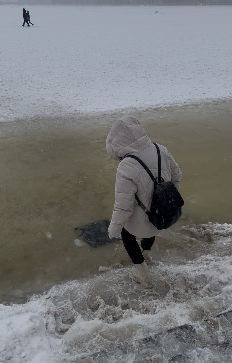 Стрелка Васильевского острова 