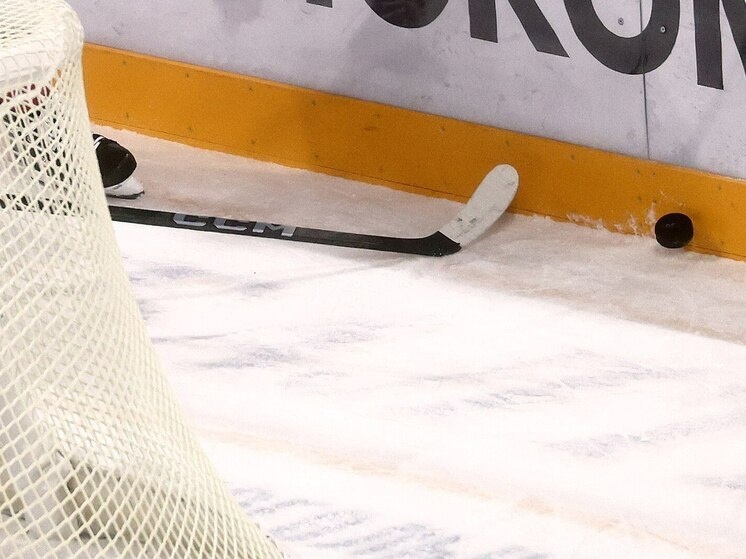     Фото: архив МК в Мурманске/ Дарья Иванова.