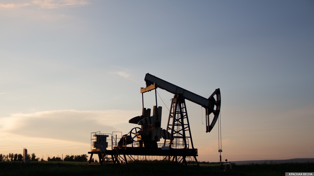     Нефтедобыча   
Павел Редин © ИА Красная Весна