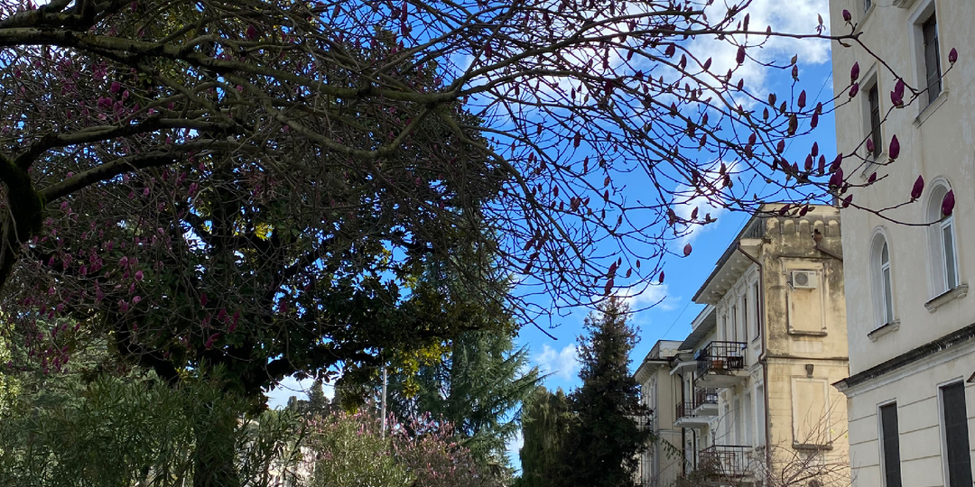 Ехать или не ехать в Абхазию на мартовские праздники? Как погода, обстановка?